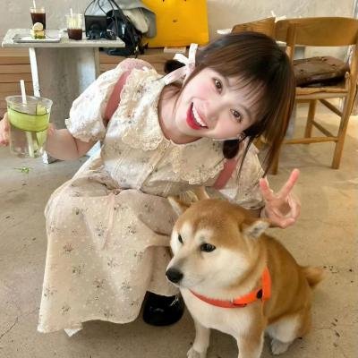 琼楼春梦